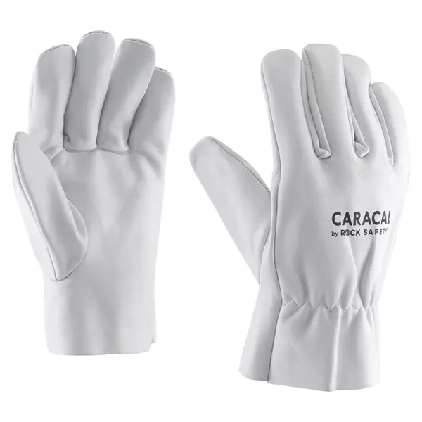 3210E_____CARACAL_1 3210E_____CARACAL_1