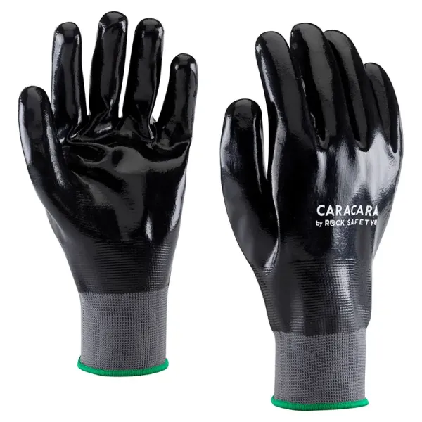 NF1001_____CARACARA_1 NF1001_____CARACARA_1