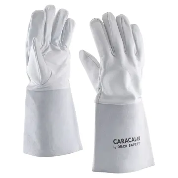 3210_____CARACAL-LO_1 3210_____CARACAL-LO_1