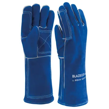 BLAZECAT-A-GA_1 BLAZECAT-A-GA_1