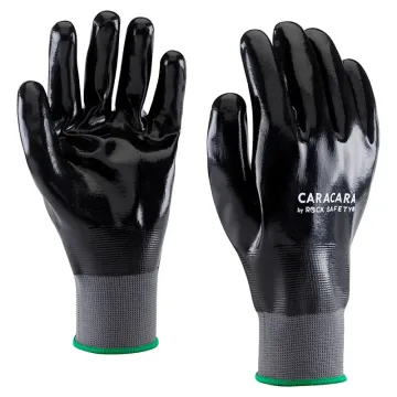 NF1001_____CARACARA_1 NF1001_____CARACARA_1